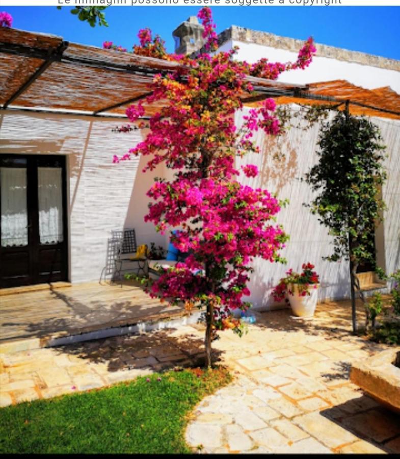 Room In Bb - Stunning Quadruple Room In Ancient Masseria Near The Sea In A Quiet Olive Trees Остуни Екстериор снимка