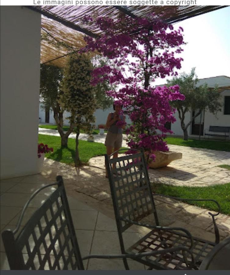 Room In Bb - Stunning Quadruple Room In Ancient Masseria Near The Sea In A Quiet Olive Trees Остуни Екстериор снимка