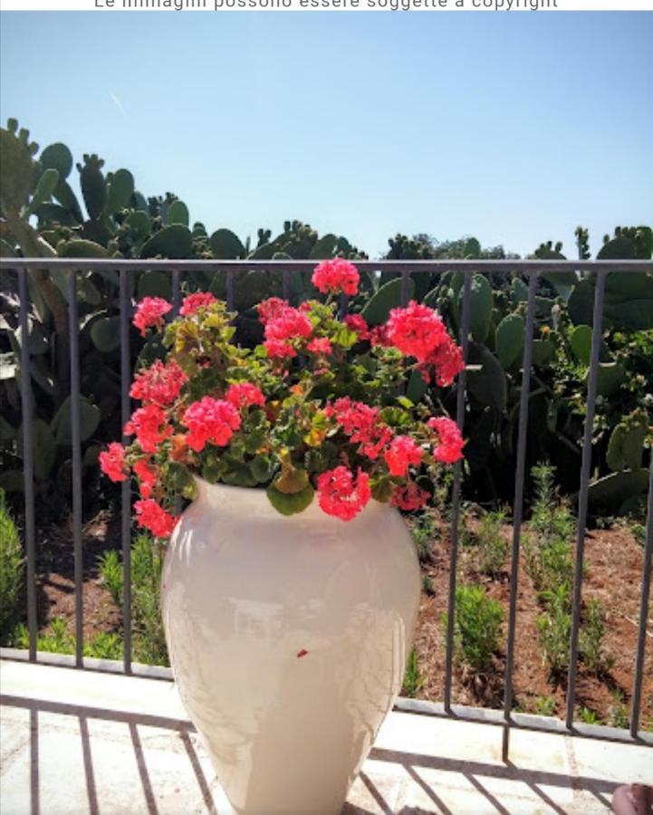 Room In Bb - Stunning Quadruple Room In Ancient Masseria Near The Sea In A Quiet Olive Trees Остуни Екстериор снимка